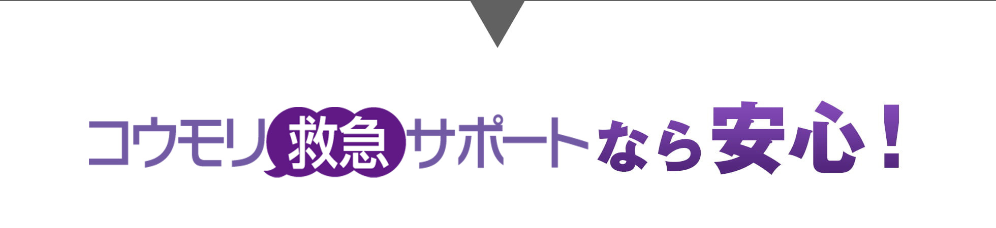 コウモリ救急サポートなら安心！