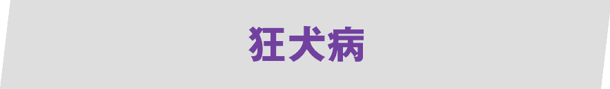 狂犬病
