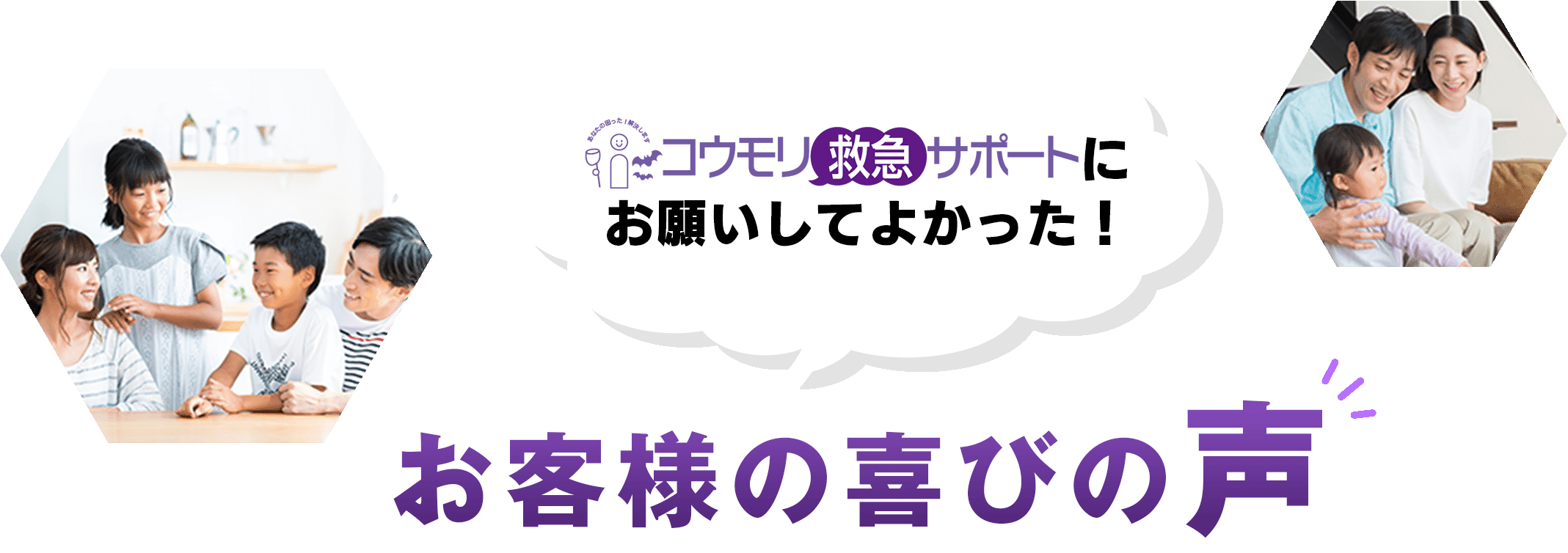 コウモリ救急サポートにお願いしてよかった！お客様の喜びの声